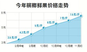 2014海南檳榔供不應(yīng)求價(jià)格一路“高”歌 一度至8元/斤